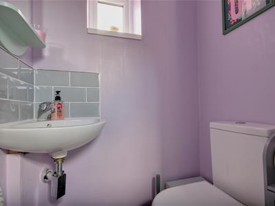 Picture 15